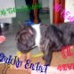 Esta es mi perrita Helena junto a mis vecinos chicos =) espero que le gusten mi perrita y el collage que hize con ella! La adoro (L)